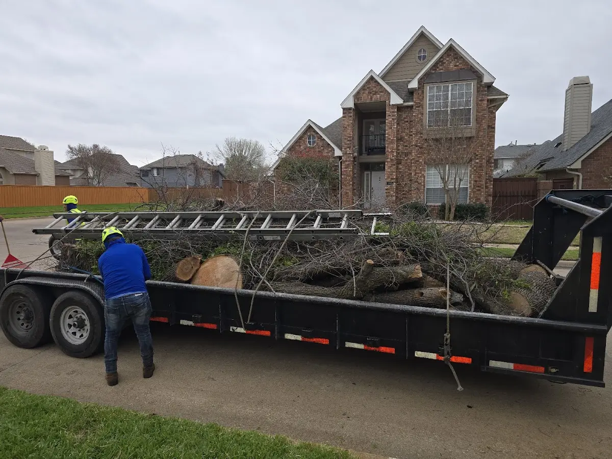 Expert Tree Removal with proper safety equipment in New Philadelphia